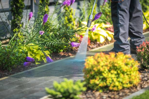 Best Pool Deck Cleaning  in Afton, MN