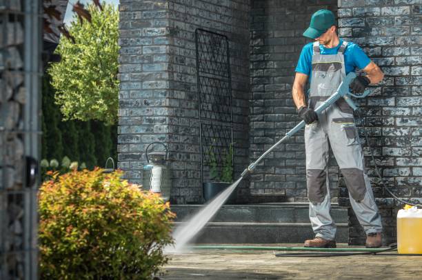 Best Fence Cleaning  in Afton, MN